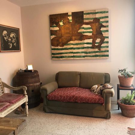 Posada Barbario Con 4 Habitaciones Oaxaca エクステリア 写真